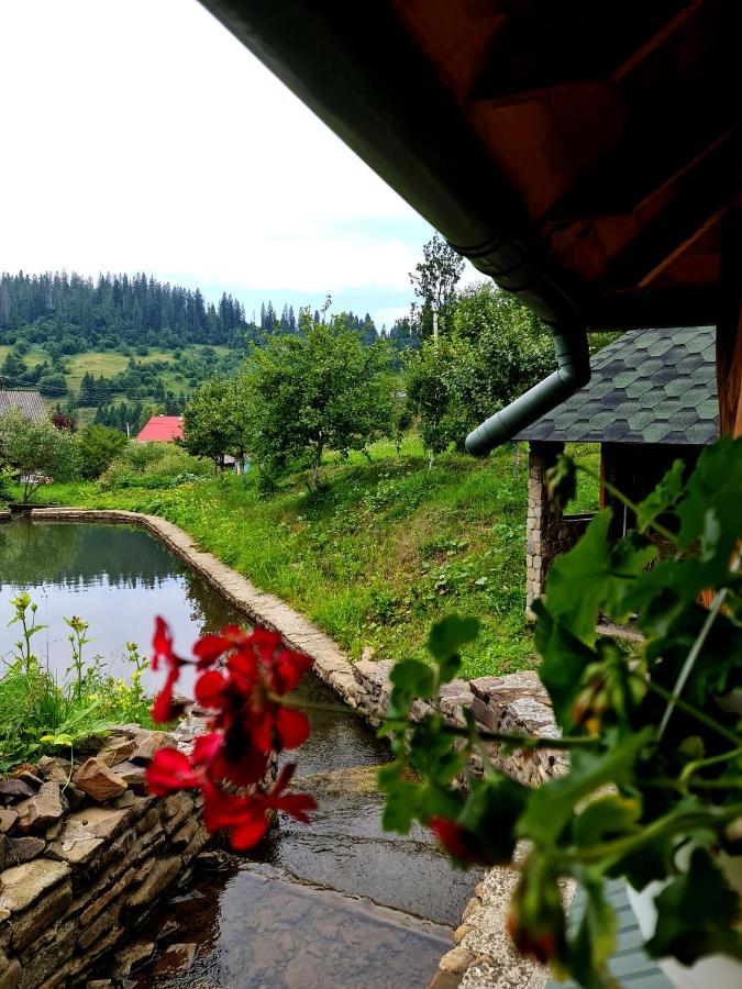 Приватна Садиба Потічок Slavske Exterior foto